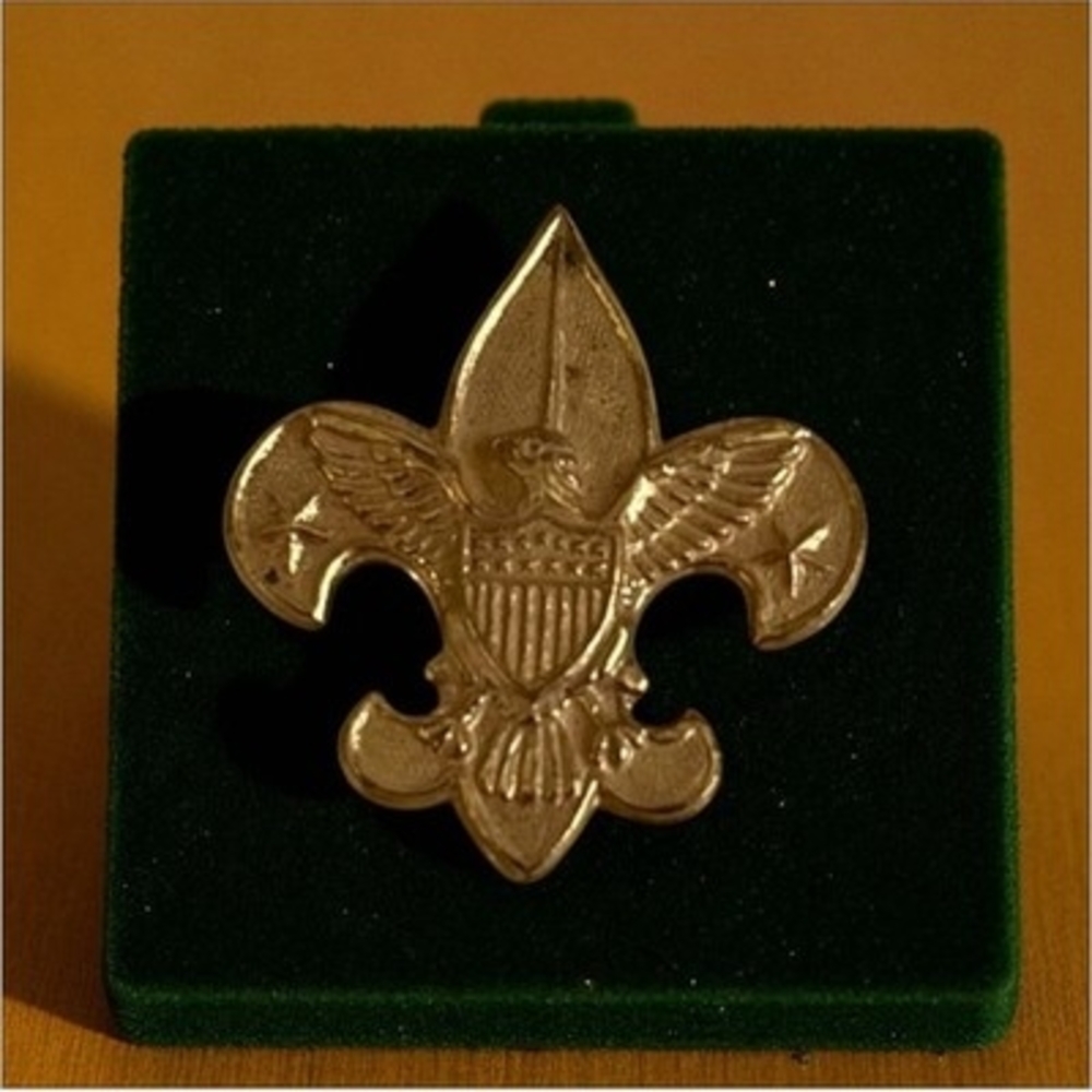 Vintage BSA Boy Scouts Pin Fleur De Lis Eagle Crest Latch Clasp Gold Tone